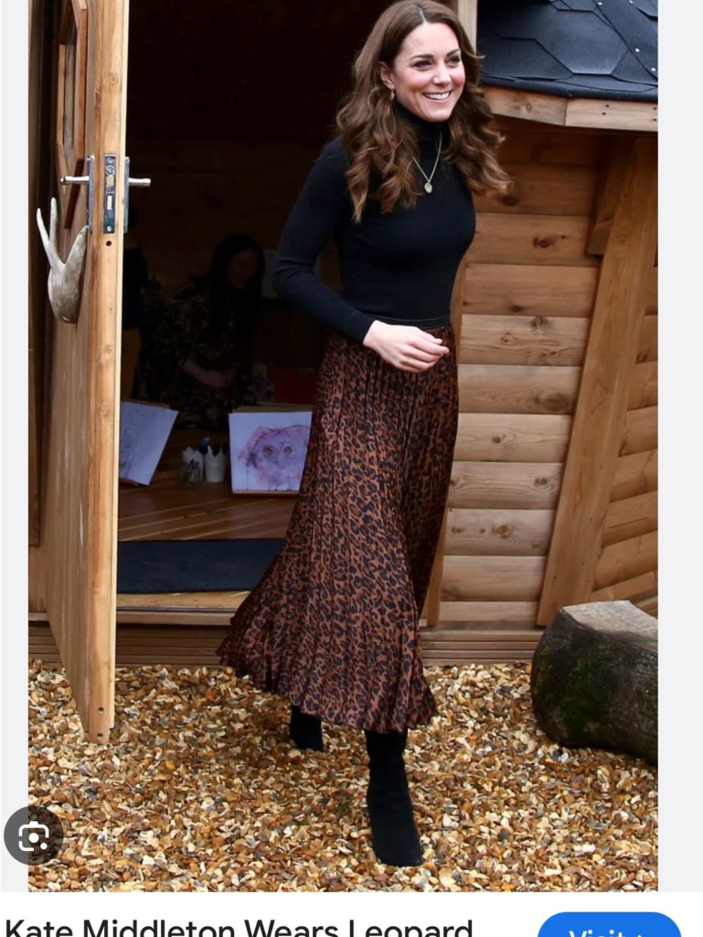 Zara Brown Leopard-Print Pleated Midi Skirt - Picture 2 of 8